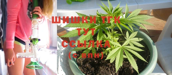 ECSTASY Заводоуковск