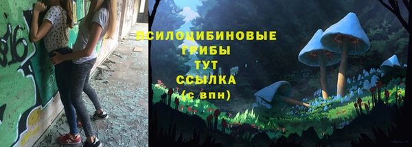 ECSTASY Заводоуковск