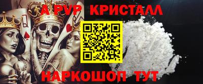 стаф Кингисепп