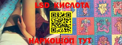 стаф Кингисепп