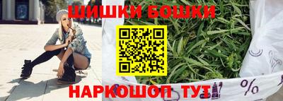 стаф Кингисепп