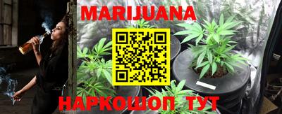 стаф Кингисепп