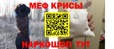 стаф Кингисепп