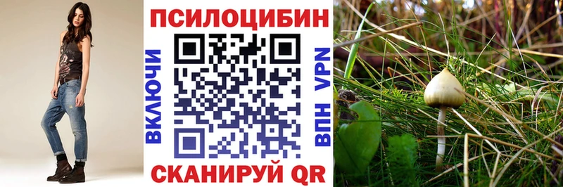 Псилоцибиновые грибы MAGIC MUSHROOMS  Среднеуральск 