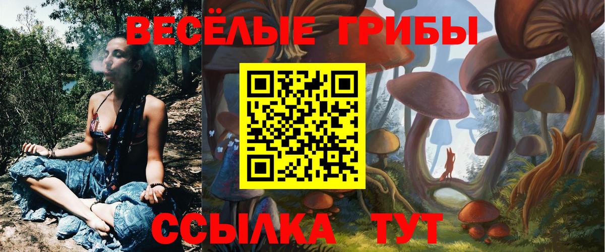 Галлюциногенные грибы мицелий Среднеуральск