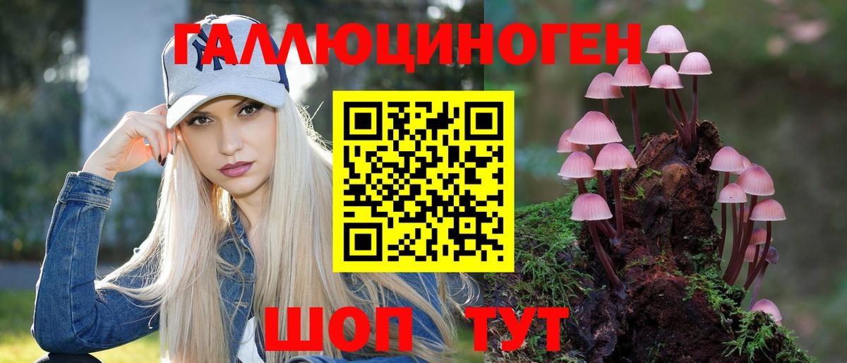 Псилоцибиновые грибы прущие грибы  где продают наркотики  Среднеуральск  Псилоцибиновые грибы ЛСД  Вход с VPN 